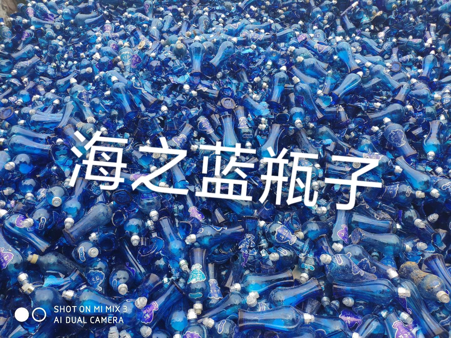 崇川区海之蓝瓶回收